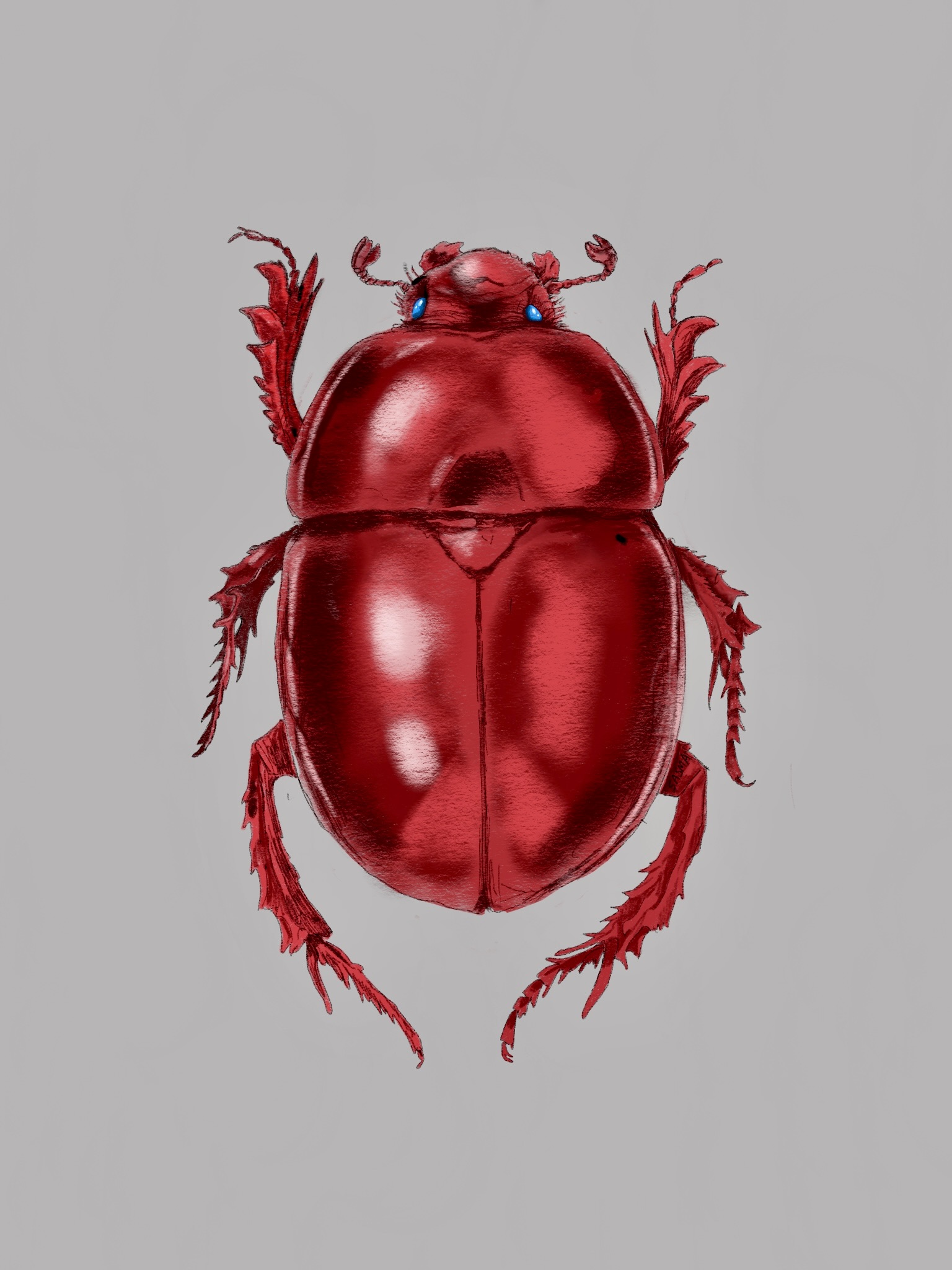 Interactive diagram showing Stephen Asma's work and creative projects